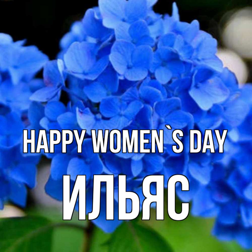 Greetings card с именем, Ильяс happy women`s day синие цветы Greetings with text for free download 